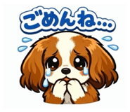 833870593