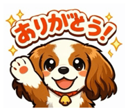 833870597