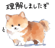833887206