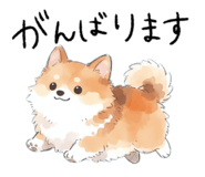 833887208