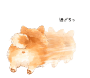 833887216