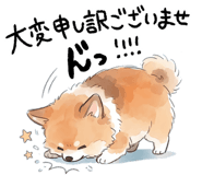 833887218