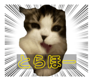 833890049
