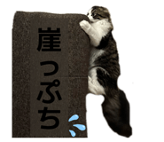 833890064