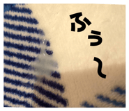 833891952