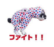 833892620
