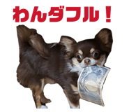 833892626