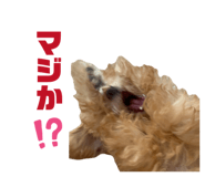 833892635