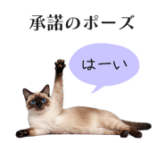 833893570