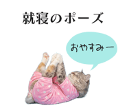 833893576