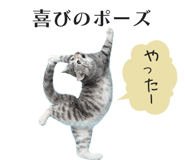 833893581