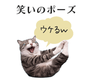 833893584