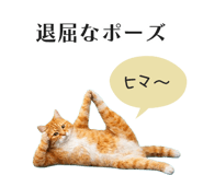 833893586