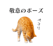 833893588