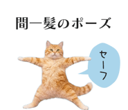 833893590