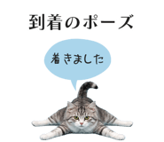 833893596