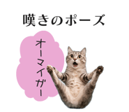 833893600