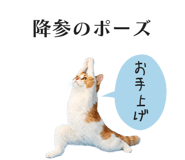 833893606