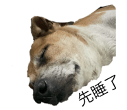 833941559