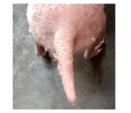 833941573