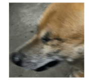 833941585