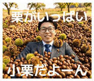 833944728