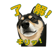 833986383