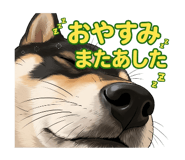 833986387