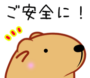 833986947