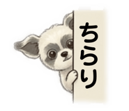 833989700