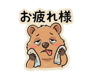 833991911