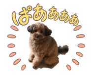 834003330