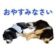 834004232