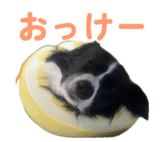 834004241