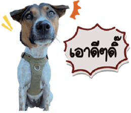 ลายที่ 1