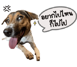 ลายที่ 3