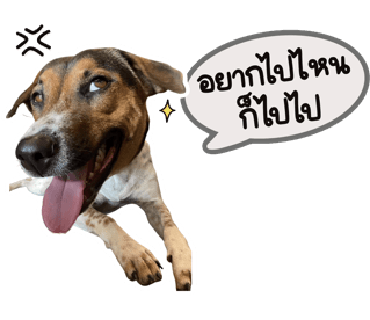 ลายที่ 2