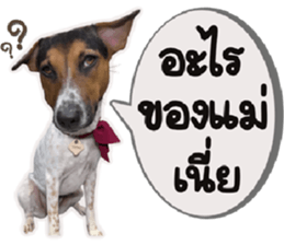 ลายที่ 5