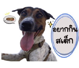 ลายที่ 7