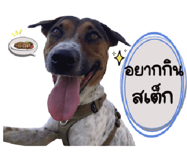 ลายที่ 4