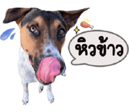 ลายที่ 9