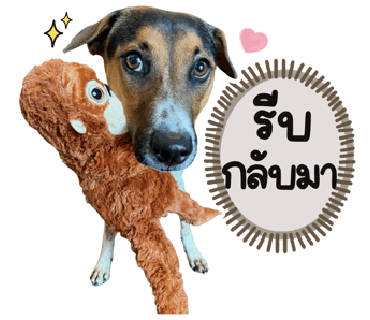 ลายที่ 7
