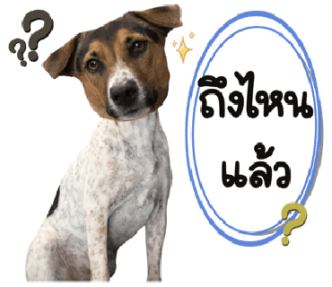 ลายที่ 8