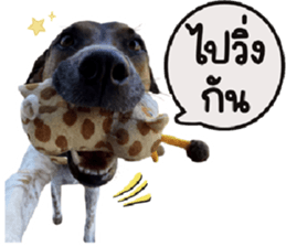 ลายที่ 19