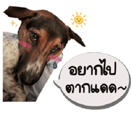 ลายที่ 21