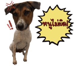 ลายที่ 25