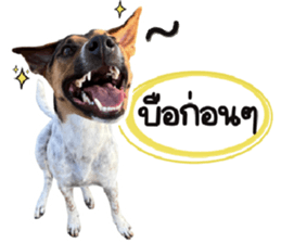 ลายที่ 27