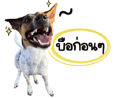 ลายที่ 14