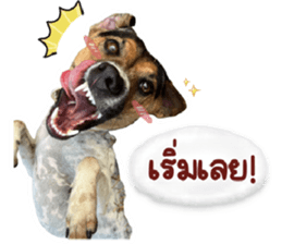 ลายที่ 31