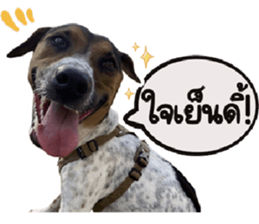 ลายที่ 33